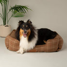 Shetland Box Bed - Brown Dog Beds Scruffs® 