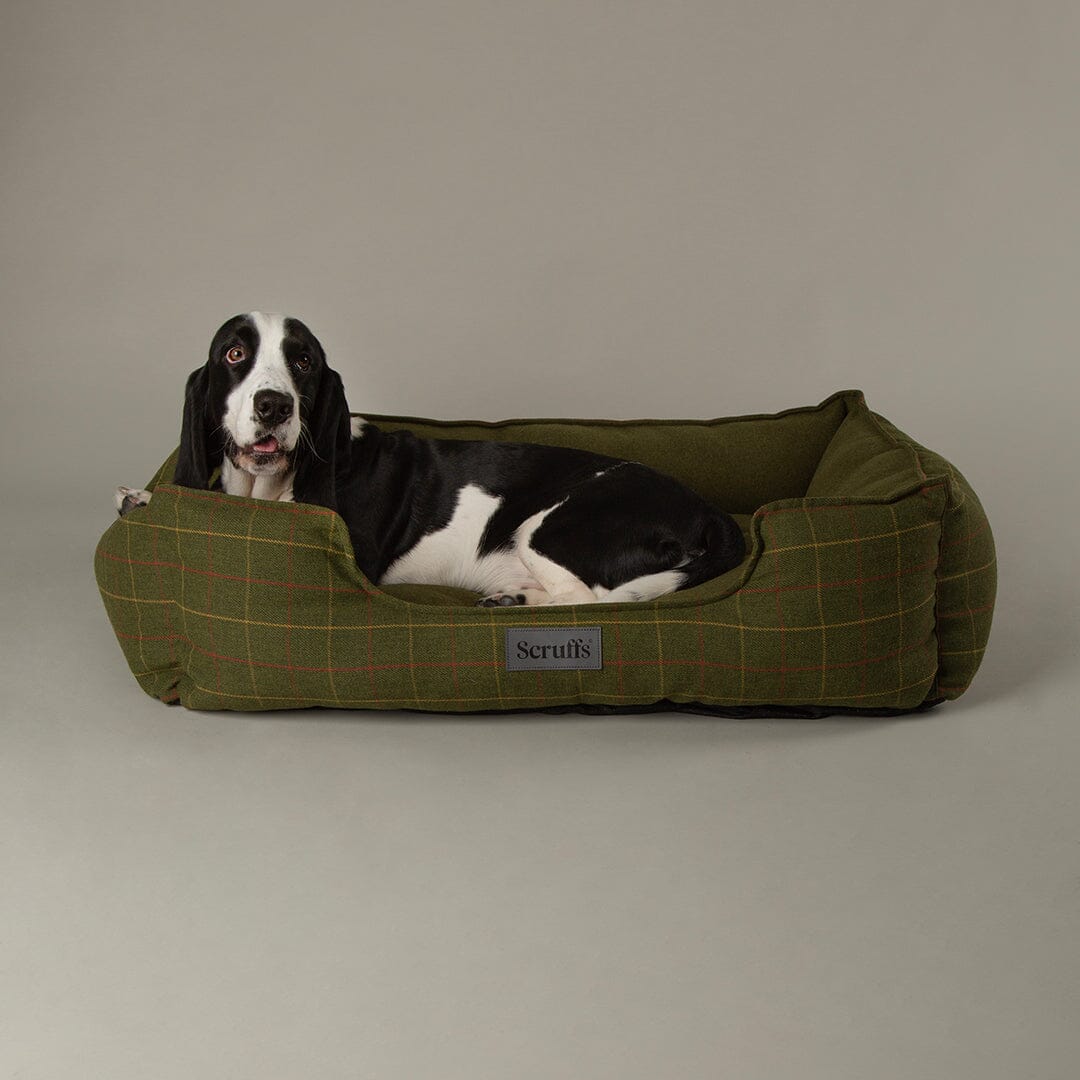 Shetland Box Bed - Green Dog Beds Scruffs® 
