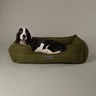 Shetland Box Bed - Green Dog Beds Scruffs® 