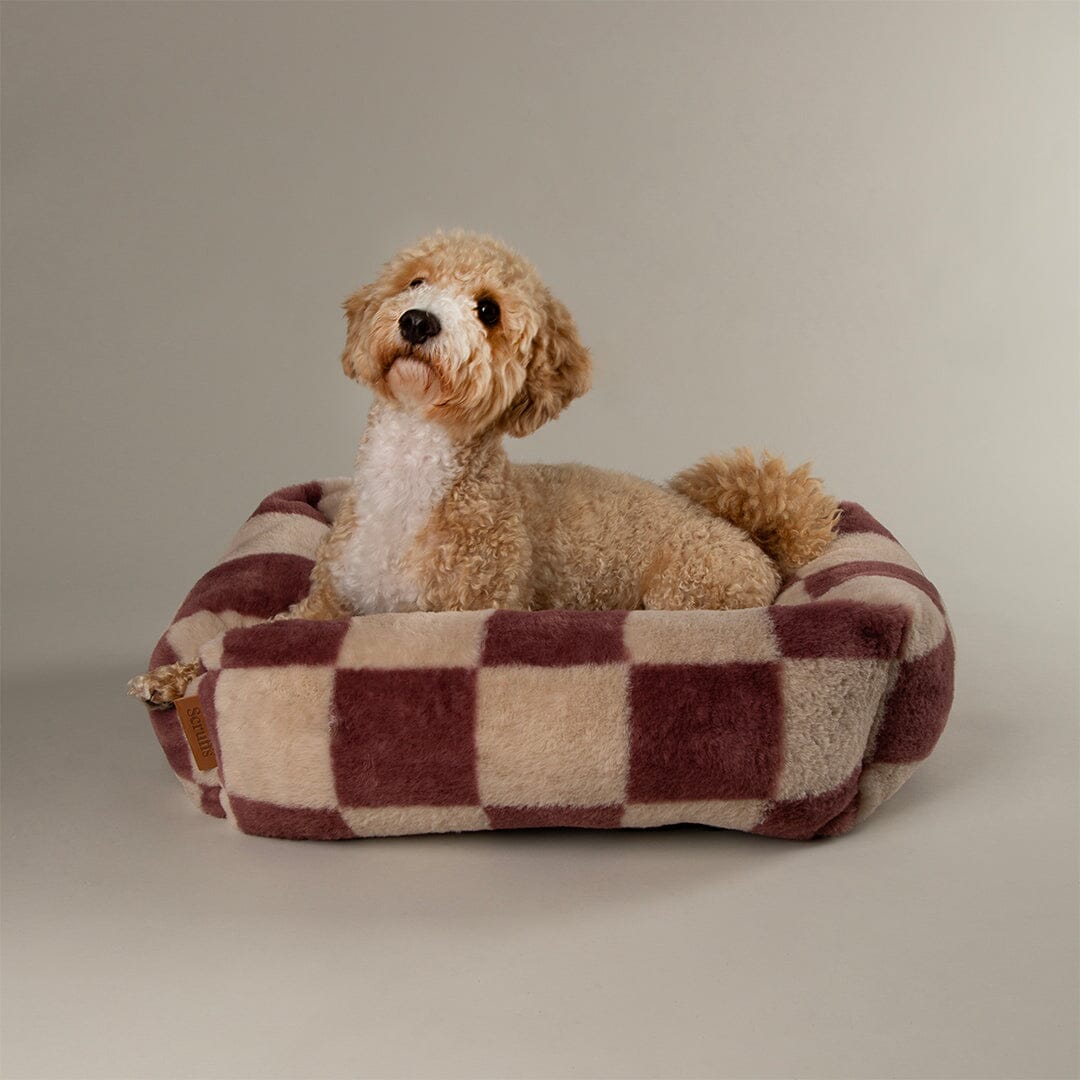 Checkerboard Box Bed - Berry/Cream Dog Beds Scruffs® 