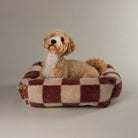 Checkerboard Box Bed - Berry/Cream Dog Beds Scruffs® 