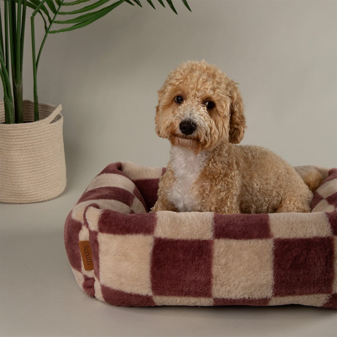 Checkerboard Box Bed - Berry/Cream Dog Beds Scruffs® 