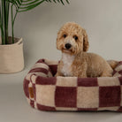 Checkerboard Box Bed - Berry/Cream Dog Beds Scruffs® 