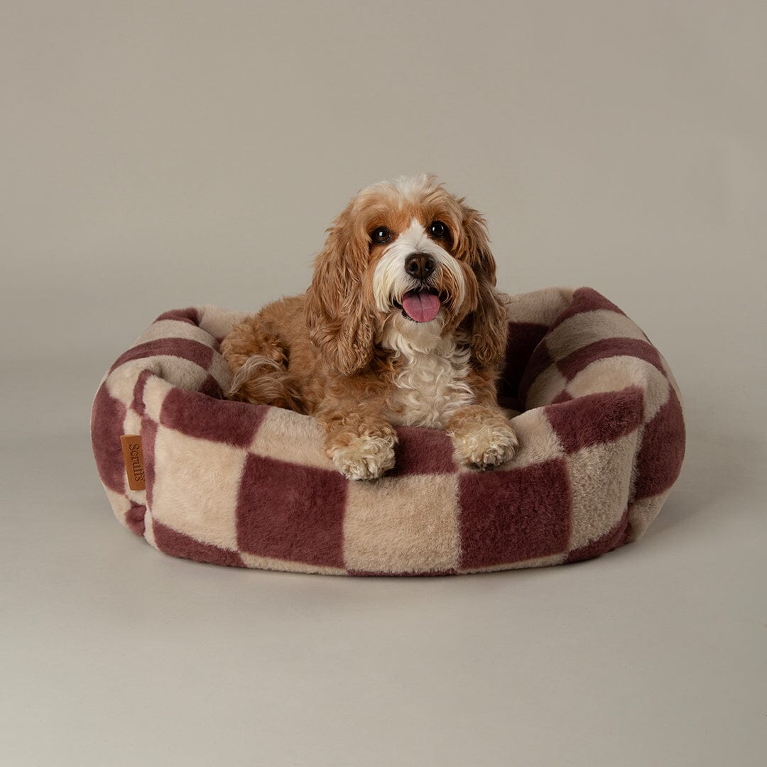 Checkerboard Box Bed - Berry/Cream Dog Beds Scruffs® 