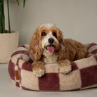 Checkerboard Box Bed - Berry/Cream Dog Beds Scruffs® 