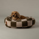 Checkerboard Box Bed - Olive/Cream Dog Beds Scruffs® 