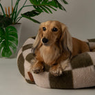 Checkerboard Box Bed - Olive/Cream Dog Beds Scruffs® 