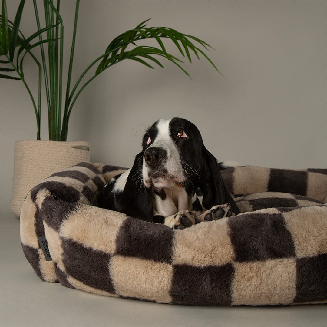 Checkerboard Box Bed - Grey/Cream Dog Beds Scruffs® 