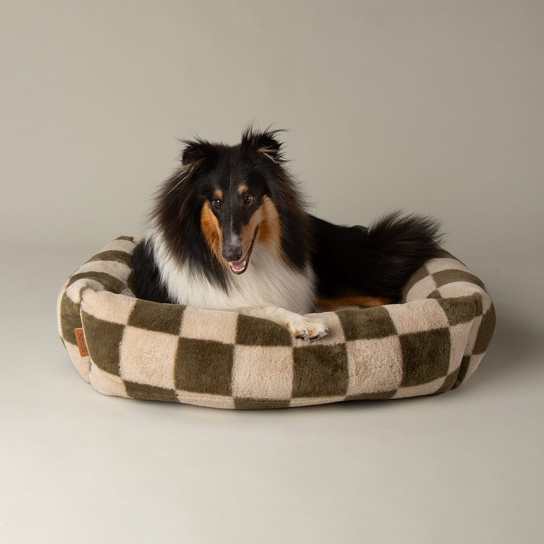 Checkerboard Box Bed - Olive/Cream Dog Beds Scruffs® 