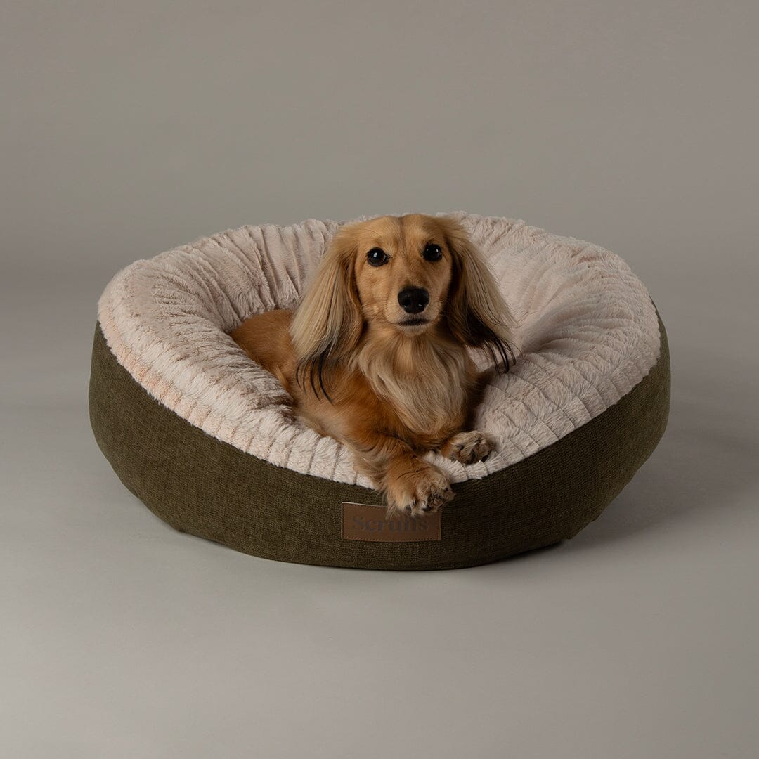 Alina Round Pet Bed - Green Dog Bed Scruffs® 