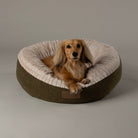 Alina Round Pet Bed - Green Dog Bed Scruffs® 