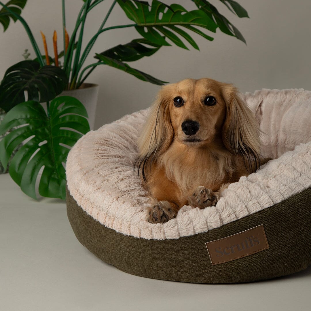 Alina Round Pet Bed - Green Dog Bed Scruffs® 