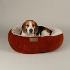 Alina Round Pet Bed - Orange Dog Bed Scruffs® 