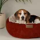 Alina Round Pet Bed - Orange Dog Bed Scruffs® 