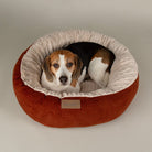 Alina Round Pet Bed - Orange Dog Bed Scruffs® 