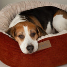 Alina Round Pet Bed - Orange Dog Bed Scruffs® 