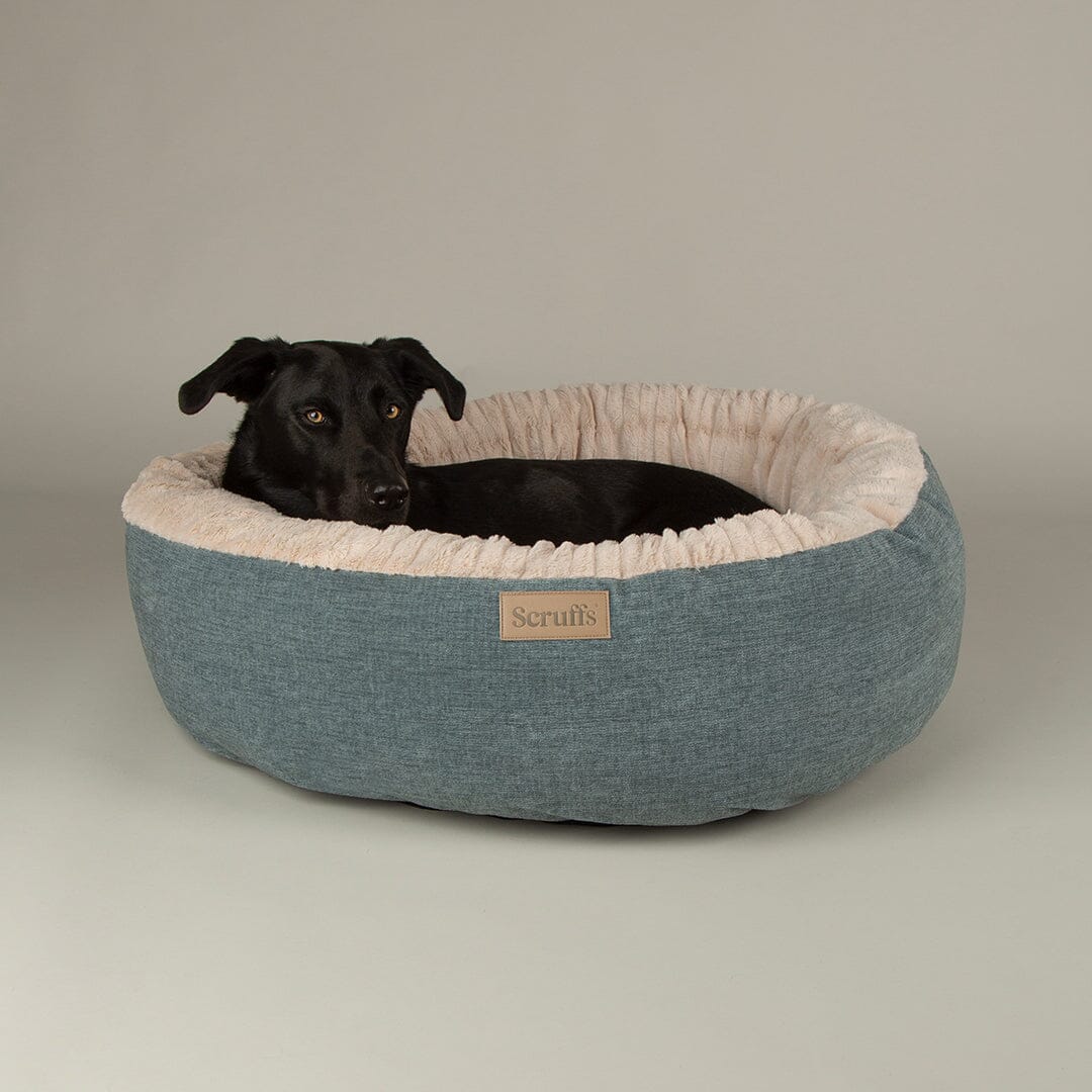 Alina Round Pet Bed - Blue Dog Bed Scruffs® 