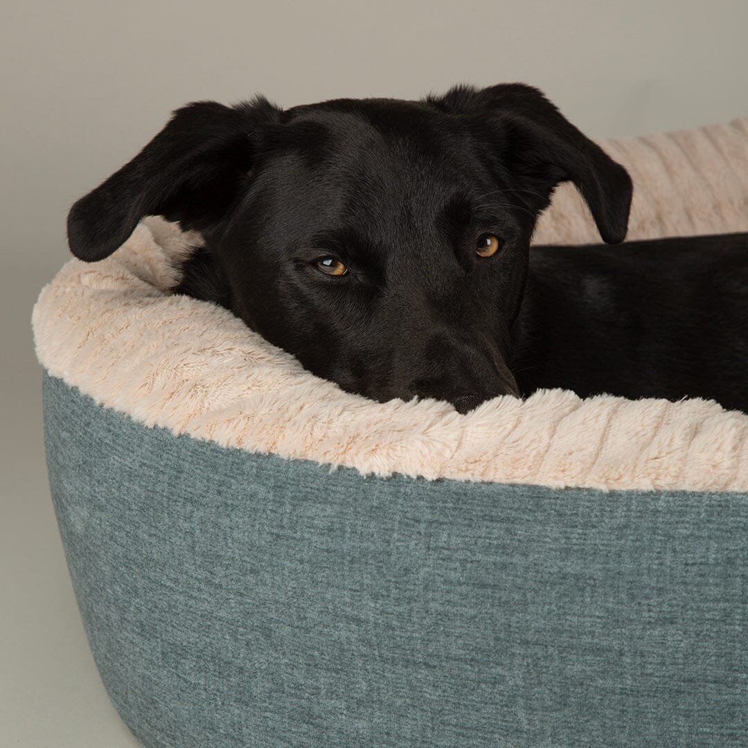 Alina Round Pet Bed - Blue Dog Bed Scruffs® 