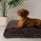 Ripple Orthopaedic Mattress - Charcoal Dog Bed Scruffs® 