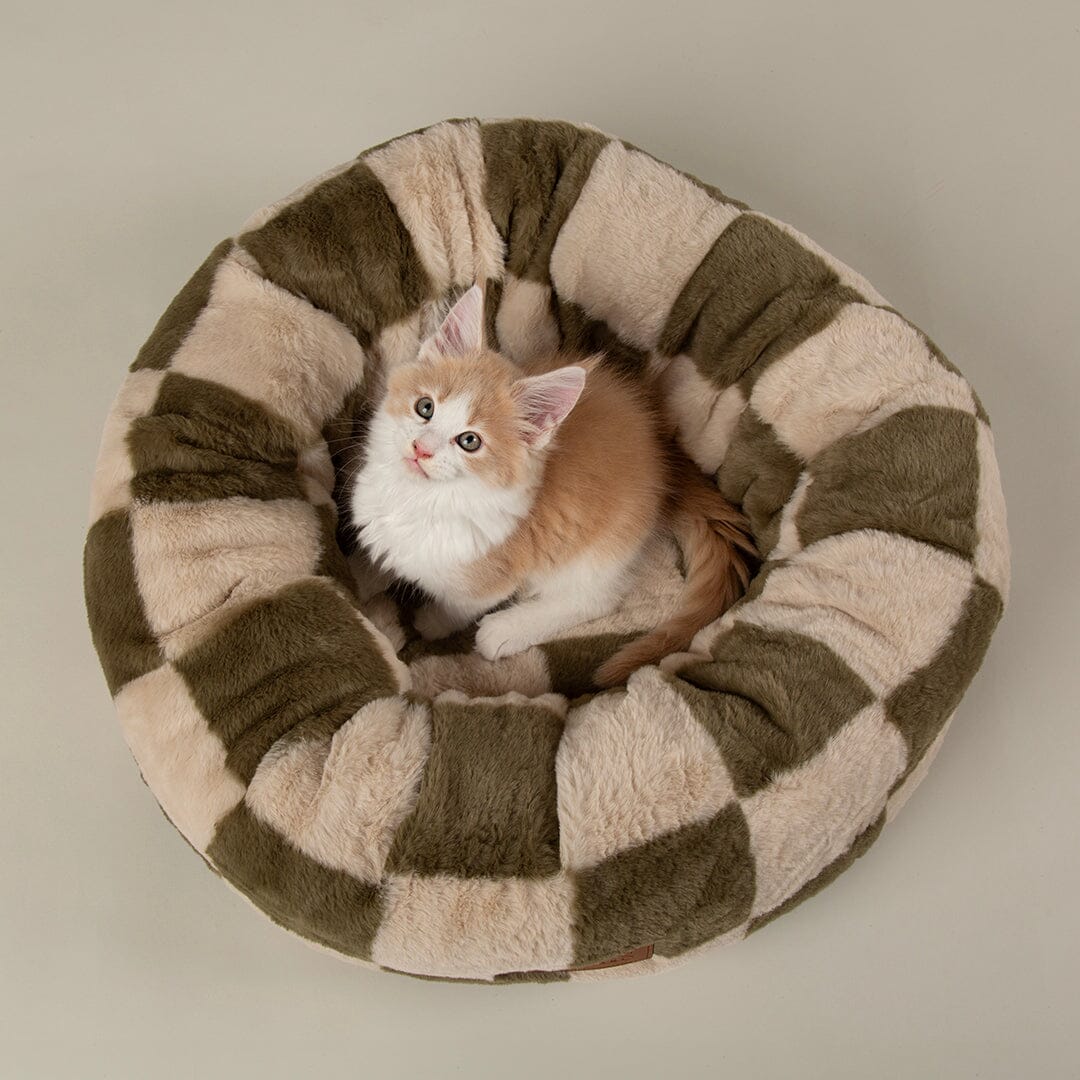Checkerboard Round Cat Bed - Olive/Cream Cat Bed Scruffs® 