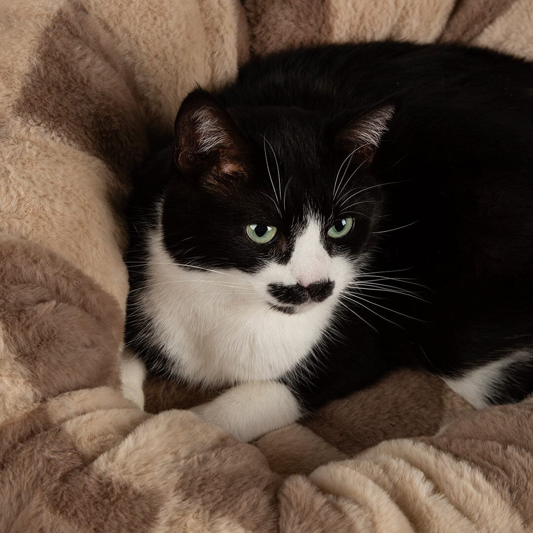 Checkerboard Round Cat Bed - Taupe/Cream Cat Bed Scruffs® 