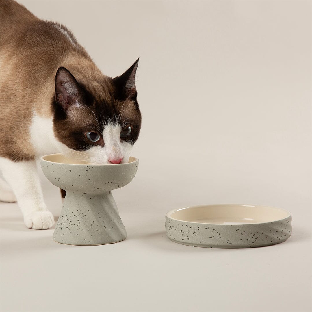 Zen 2 Piece Cat Raised Cat Feeder & Saucer Set - Grey Pet Bowls, Feeders & Waterers Scruffs® 