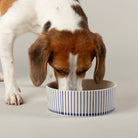 Coastal 2 Piece Dog Bowl Food & Water Bowl Set - Blue Pet Bowls, Feeders & Waterers Scruffs® 
