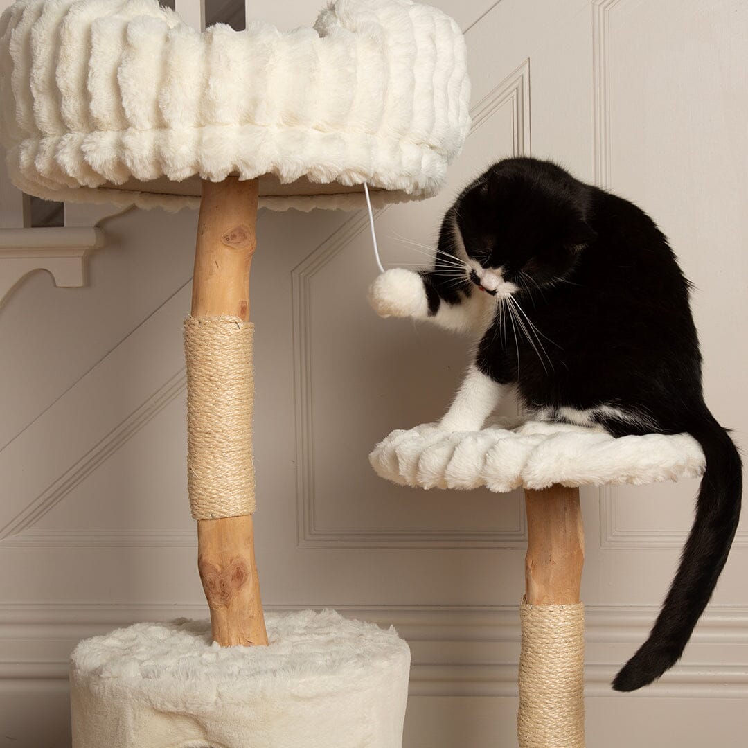 Colorado Cat Scratching Tree - Cream Cat Tree Scruffs® 