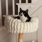 Colorado Cat Scratching Tree - Cream Cat Tree Scruffs® 