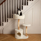 Colorado Cat Scratching Tree - Cream Cat Tree Scruffs® 