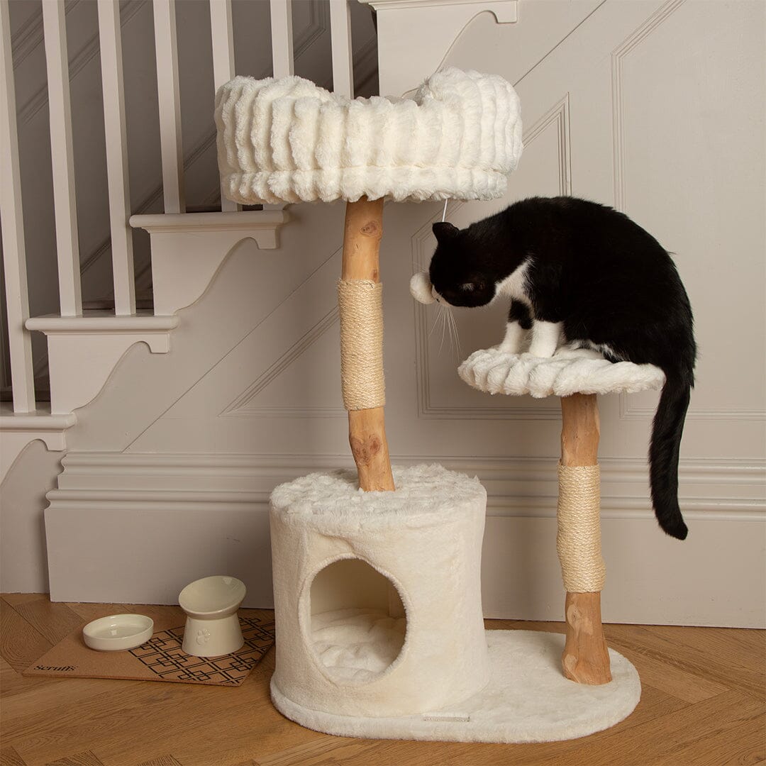 Colorado Cat Scratching Tree - Cream Cat Tree Scruffs® 