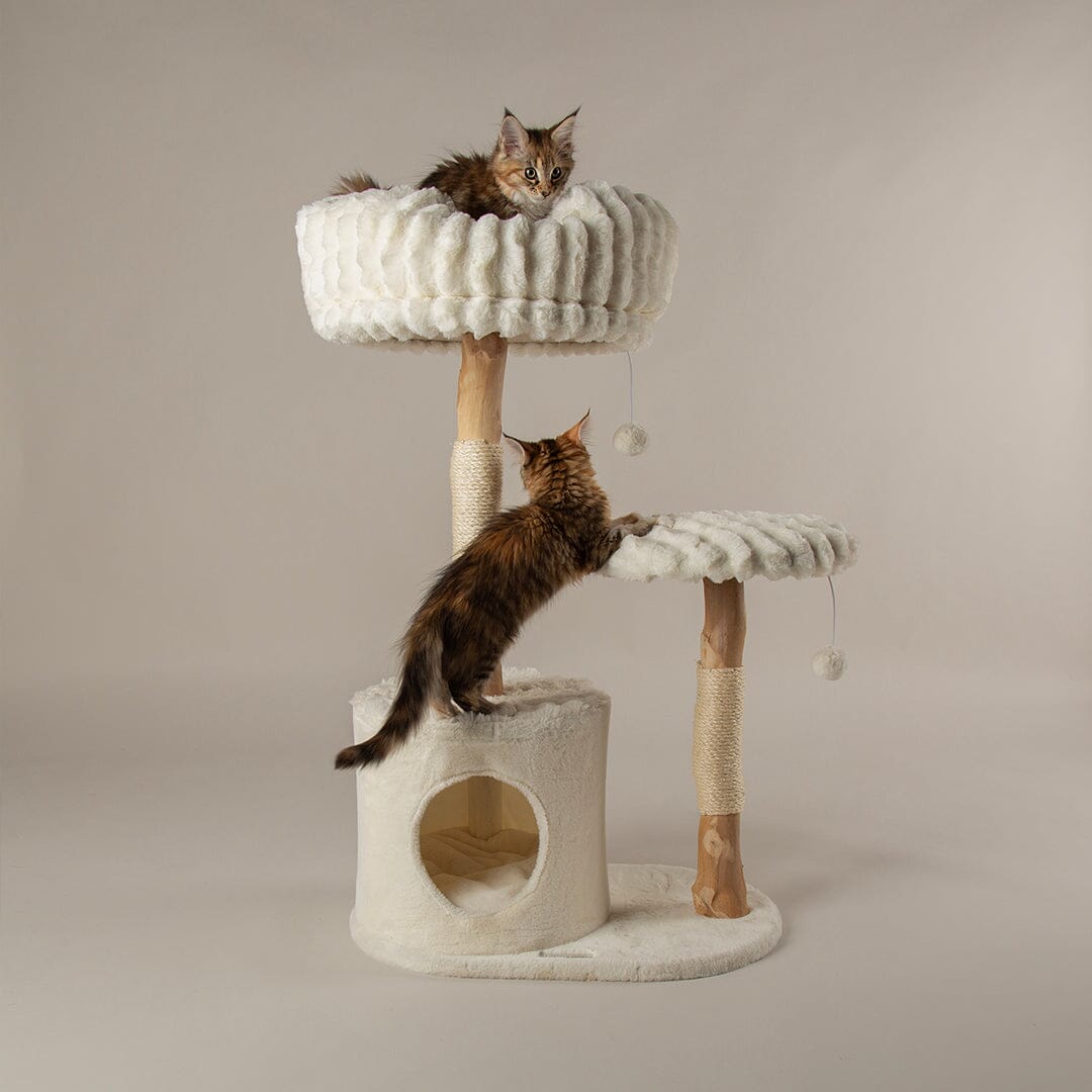 Colorado Cat Scratching Tree - Cream Cat Tree Scruffs® 