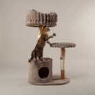 Colorado Cat Scratching Tree - Taupe Cat Tree Scruffs® 