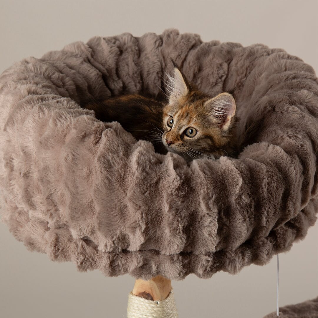 Colorado Cat Scratching Tree - Taupe Cat Tree Scruffs® 