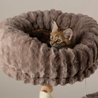 Colorado Cat Scratching Tree - Taupe Cat Tree Scruffs® 