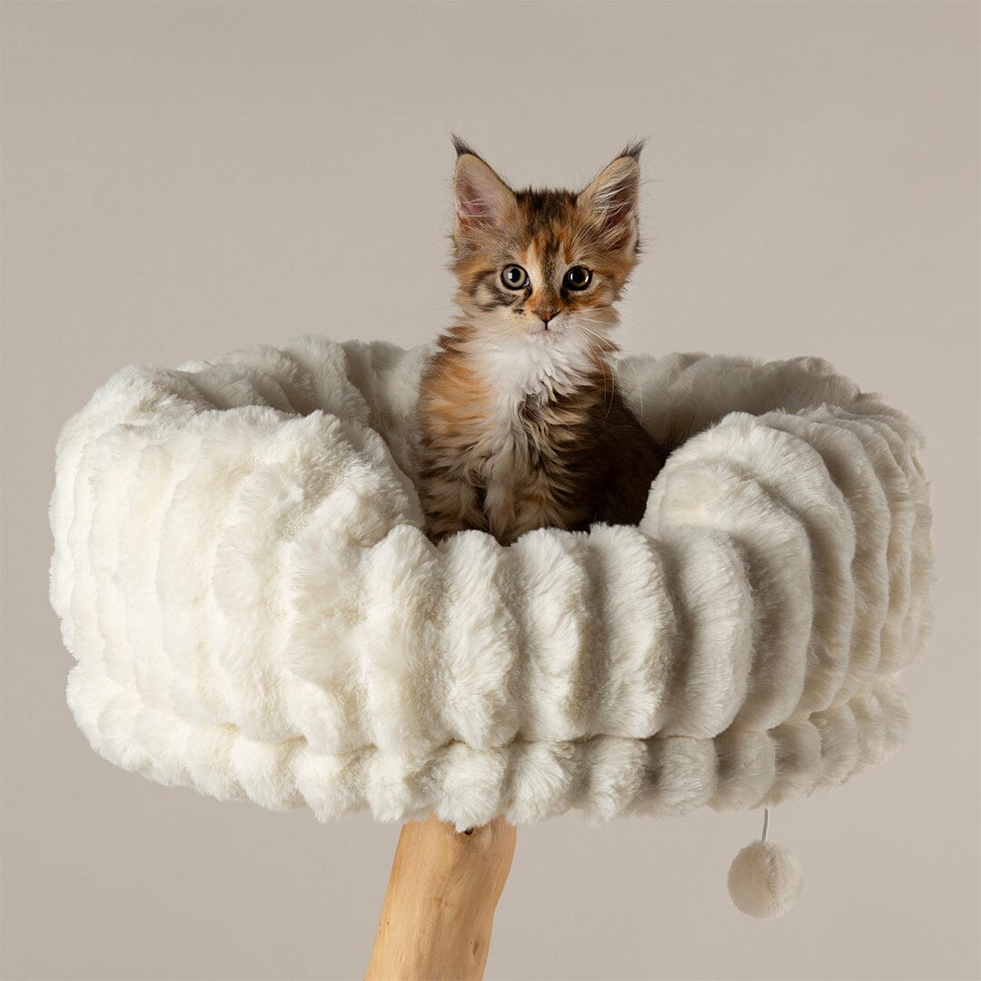 Pyrenees Cat Scratching Tree - Cream Cat Tree Scruffs® 