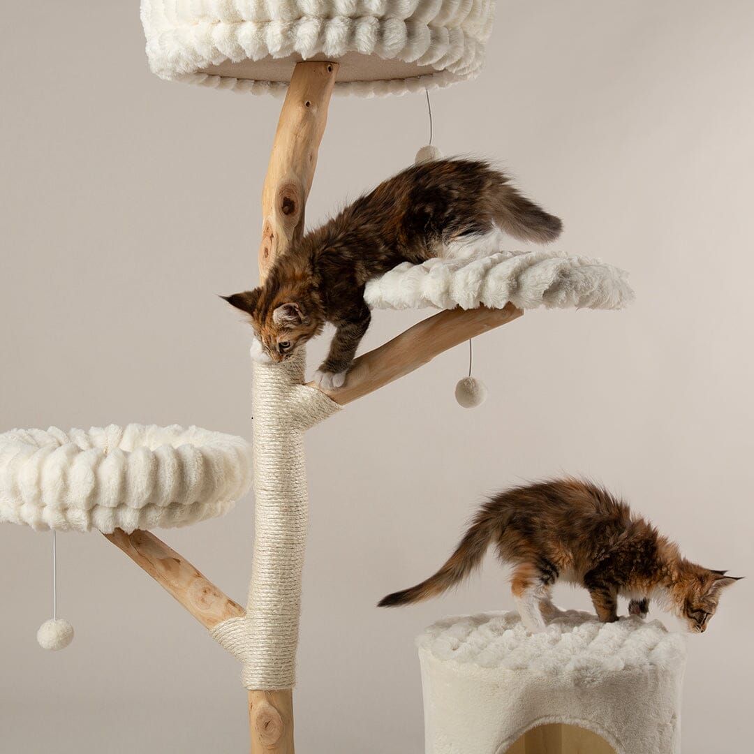 Pyrenees Cat Scratching Tree - Cream Cat Tree Scruffs® 
