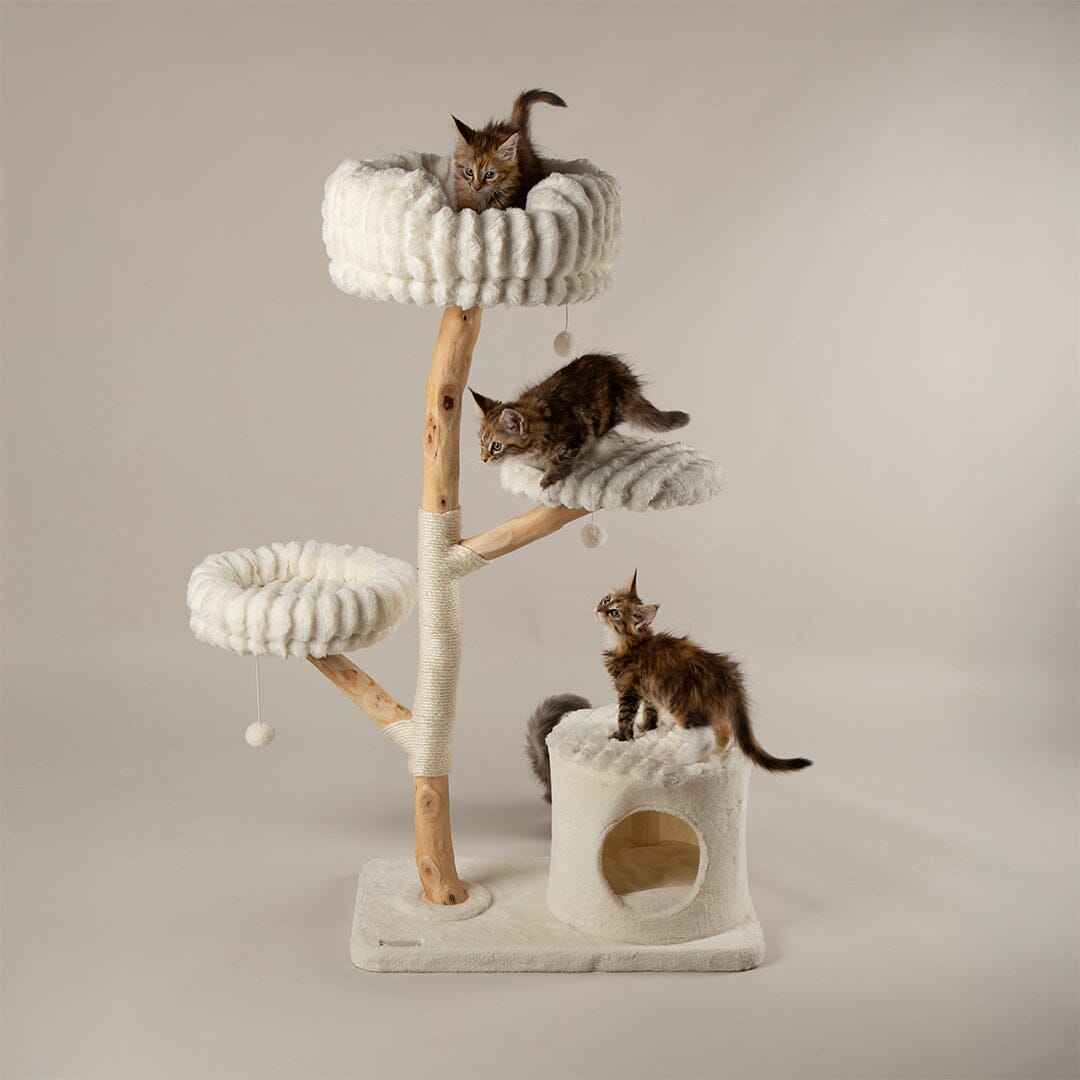 Pyrenees Cat Scratching Tree - Cream Cat Tree Scruffs® 