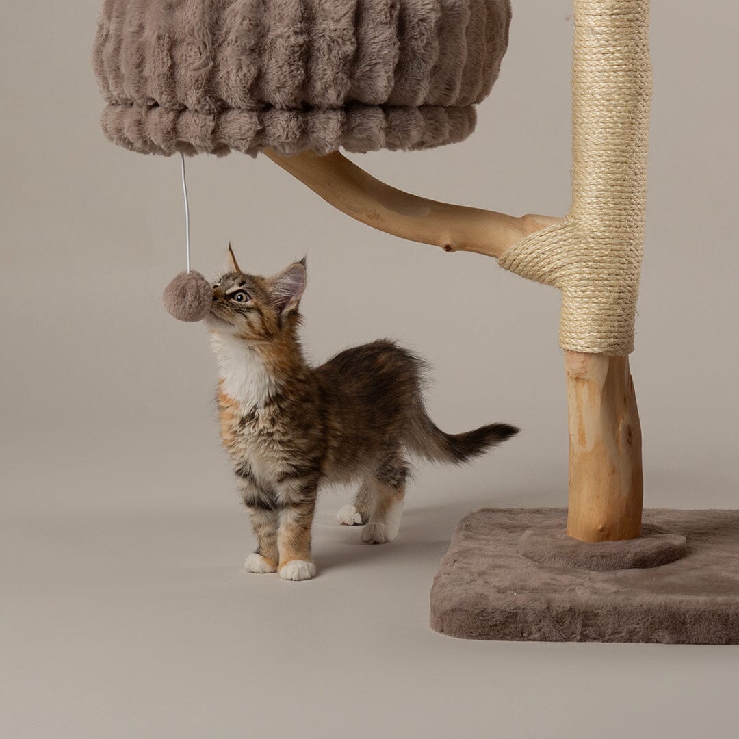 Pyrenees Cat Scratching Tree - Taupe Cat Tree Scruffs® 
