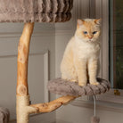 Pyrenees Cat Scratching Tree - Taupe Cat Tree Scruffs® 