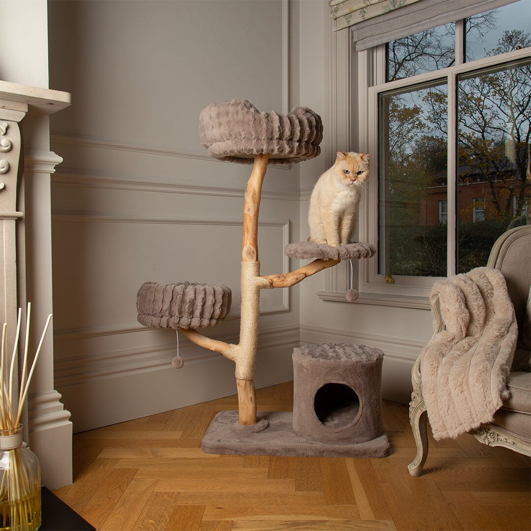 Pyrenees Cat Scratching Tree - Taupe Cat Tree Scruffs® 