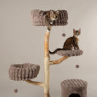 Pyrenees Cat Scratching Tree - Taupe Cat Tree Scruffs® 