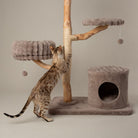 Alpine Pyrenees Cat Tree - Taupe Cat Tree Scruffs® 