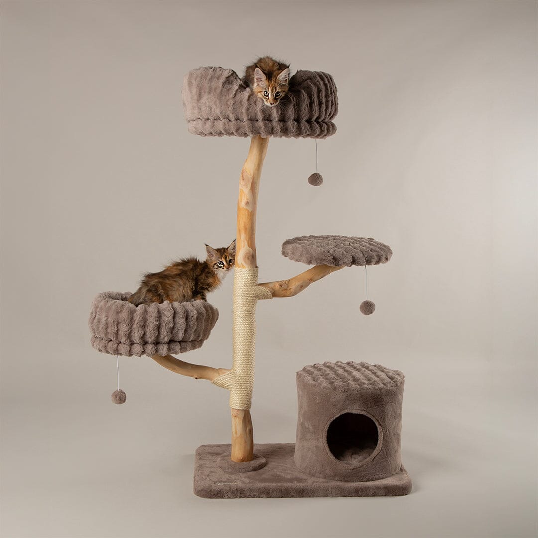 Pyrenees Cat Scratching Tree - Taupe Cat Tree Scruffs® 