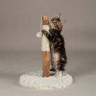 Andes 'My First' Cat Scratching Tree - Cream Cat Tree petslovescruffs 