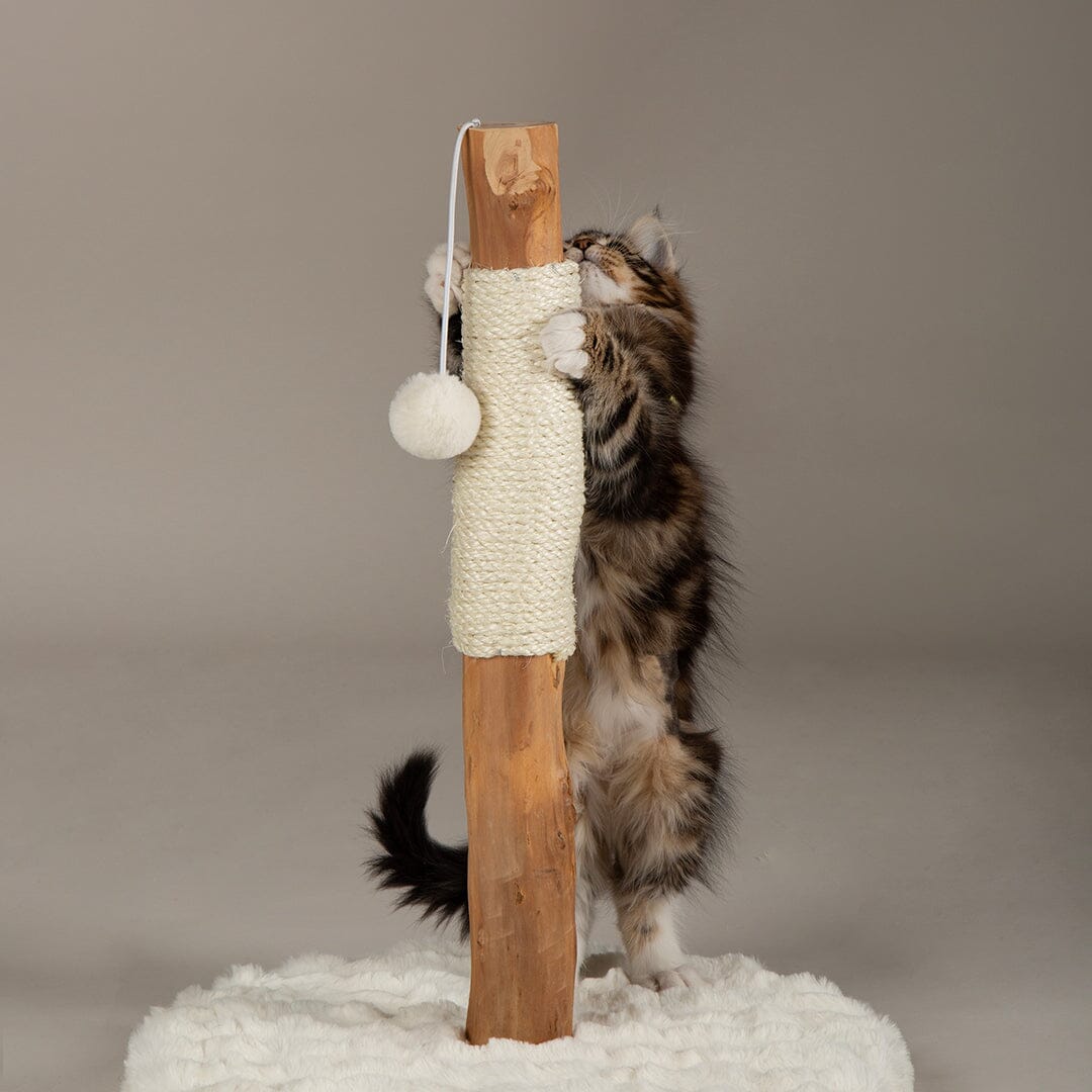Andes 'My First' Cat Scratching Tree - Cream Cat Tree petslovescruffs 