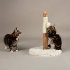 Andes 'My First' Cat Scratching Tree - Cream Cat Tree petslovescruffs 