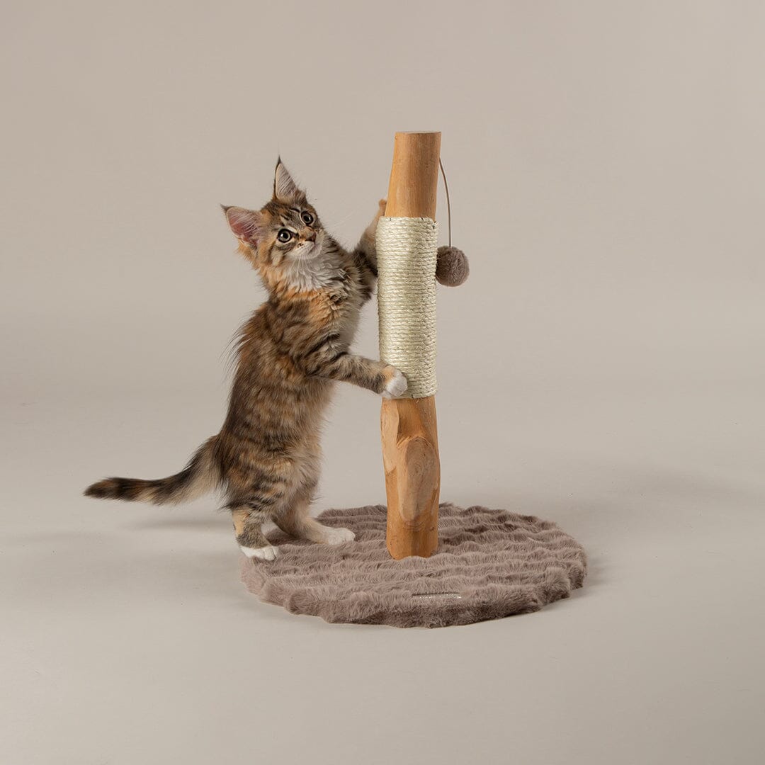 Andes 'My First' Cat Scratching Tree - Taupe Cat Tree petslovescruffs 