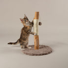 Andes 'My First' Cat Scratching Tree - Taupe Cat Tree petslovescruffs 