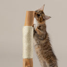 Andes 'My First' Cat Scratching Tree - Taupe Cat Tree petslovescruffs 
